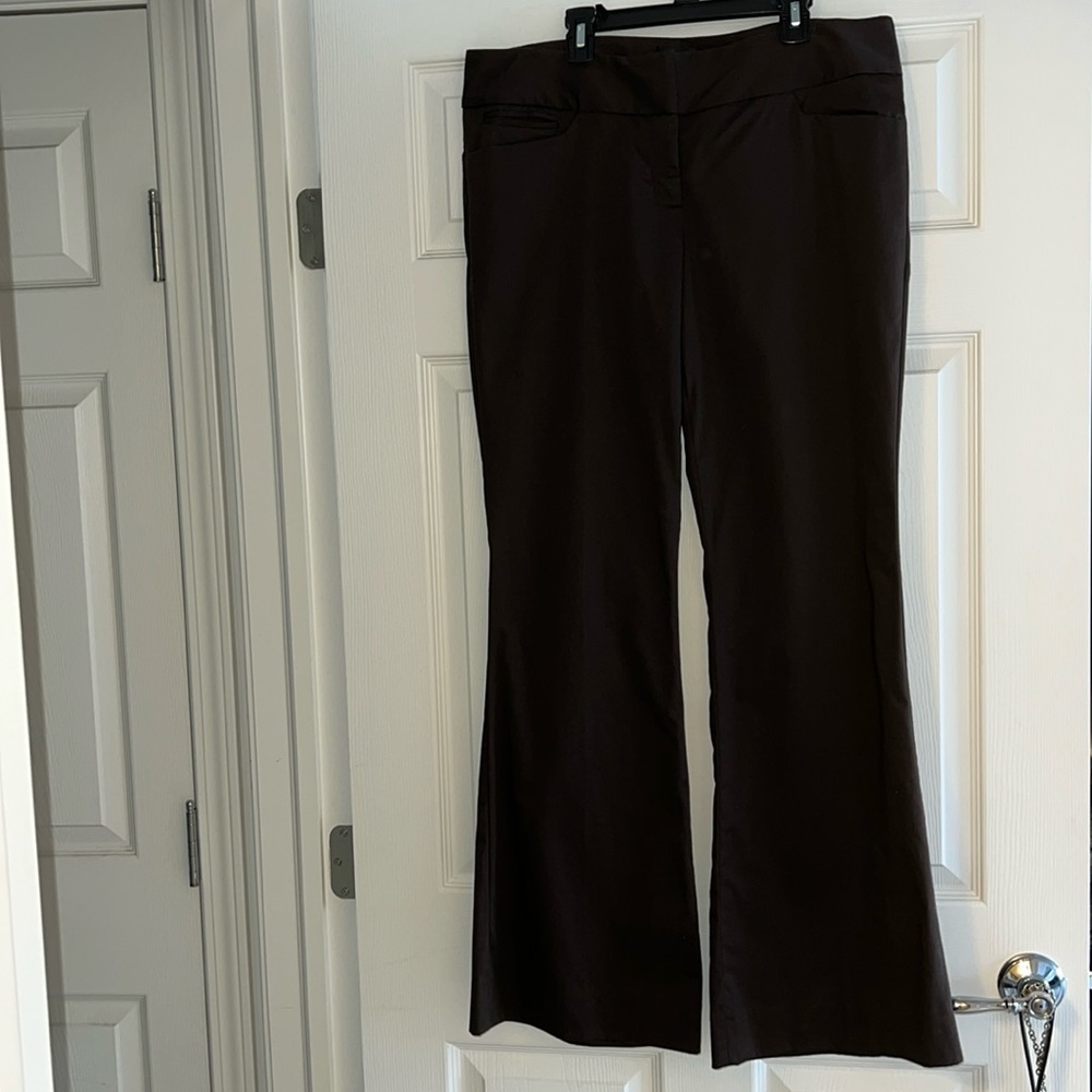The Limited pants